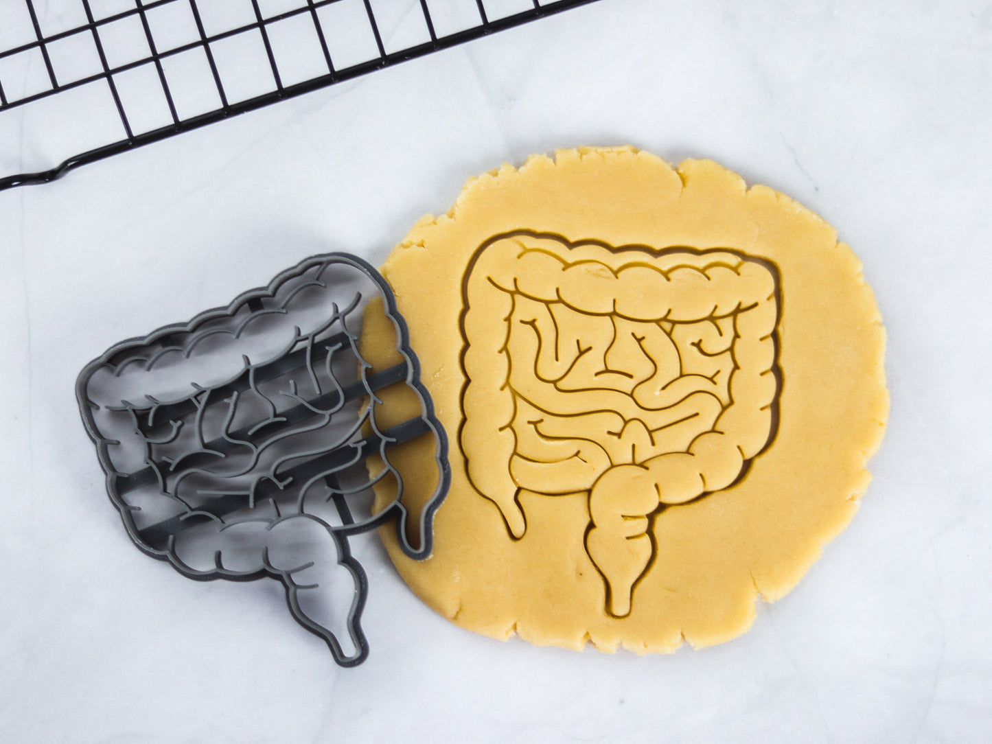 Anatomical Brain Cookie Cutter, Gifts for Medical Students and Science Enthusiasts!