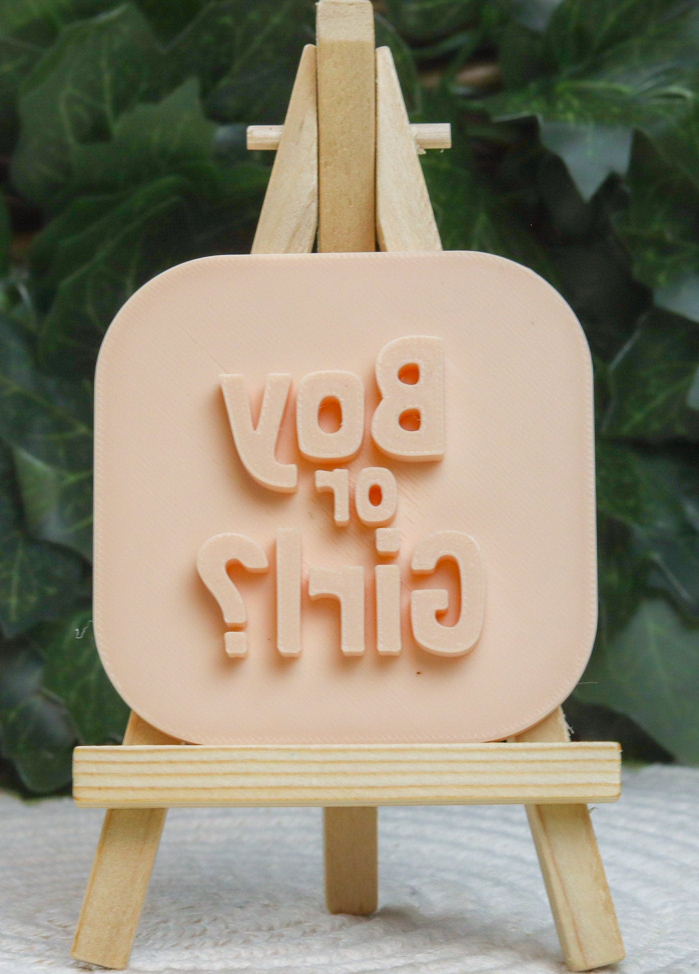 Gender Reveal Fondant Embosser Boy or Girl Stamp - Parents Surprise Cookie Cutter - Detailed Biscuit Press
