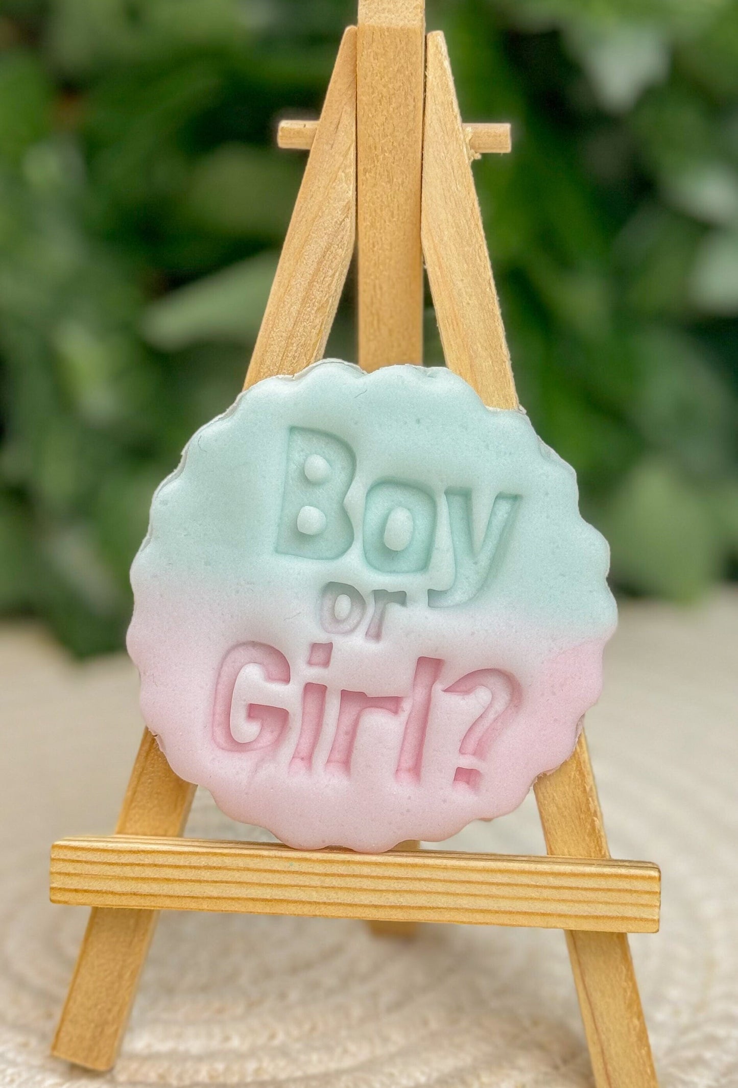 Gender Reveal Fondant Embosser Boy or Girl Stamp - Parents Surprise Cookie Cutter - Detailed Biscuit Press
