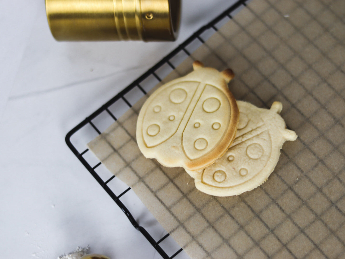 Lady-Bug Cookie Cutter